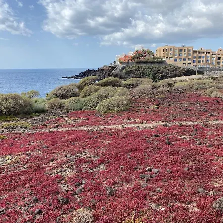 Sea Horizon * Los Abrigos