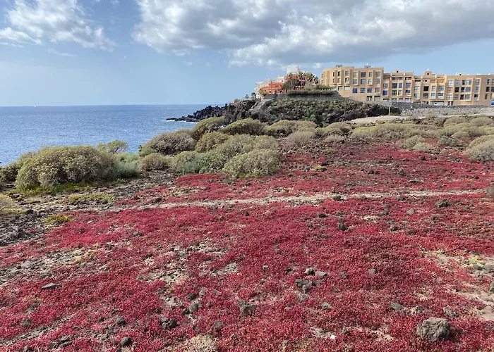 Sea Horizon * ロス・アブリゴス