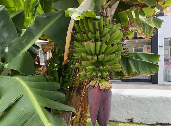 Sea Horizon Лос-Абригос